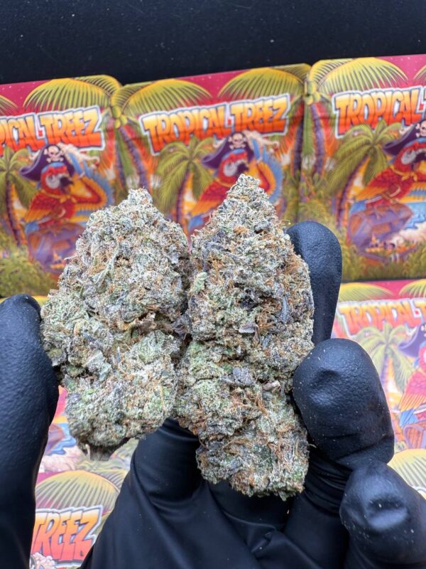 Pink Tsunami 🌊,Topical treez Ontario, Tropical tree Canada, Buy tropical treez gas, Buy tropical treez gas Ontario, Buy tropical treez gas canada
